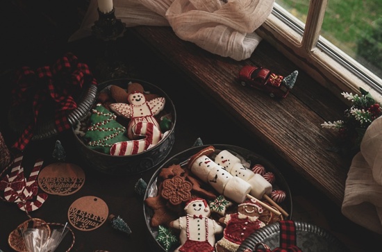 prchi-palwe-jxu5w6fg2q0-unsplash 1693646561445