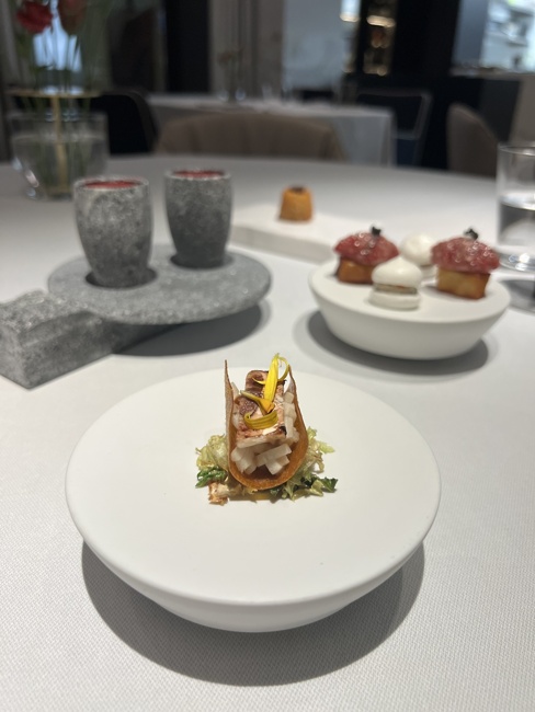 The Amauris Vienna - novi butični luksuzni hotel na Dunaju.