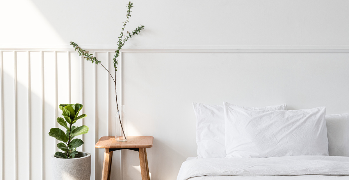 sobnerastlinespanjefotofreepik