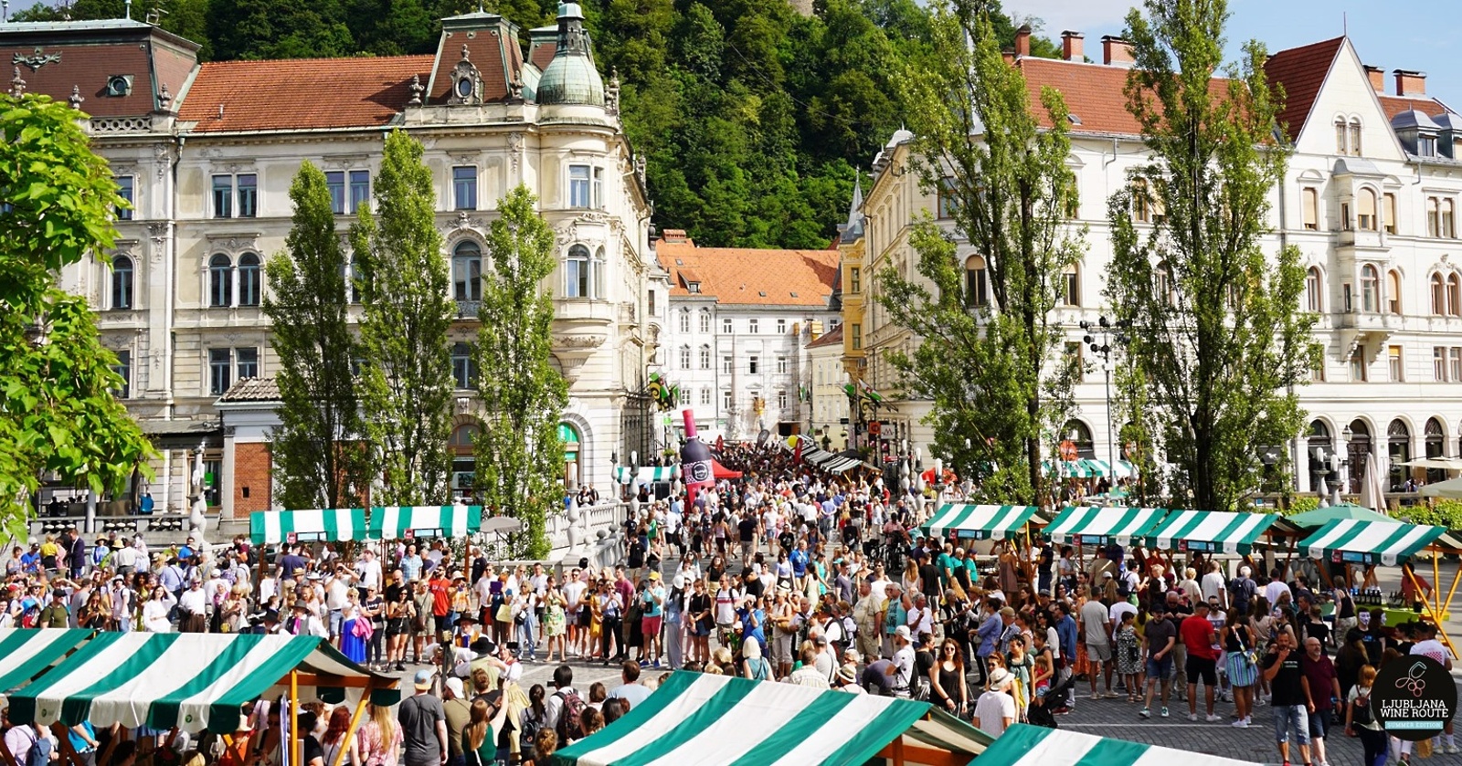 Poletna ljubljanska vinska pot 2024