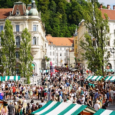 Poletna ljubljanska vinska pot 2024