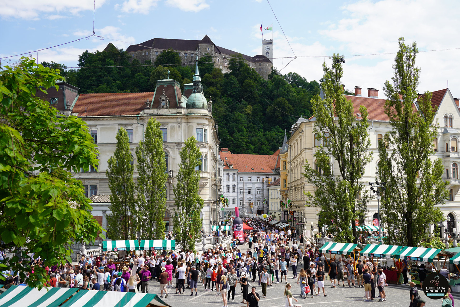 Poletna ljubljanska vinska pot 2024