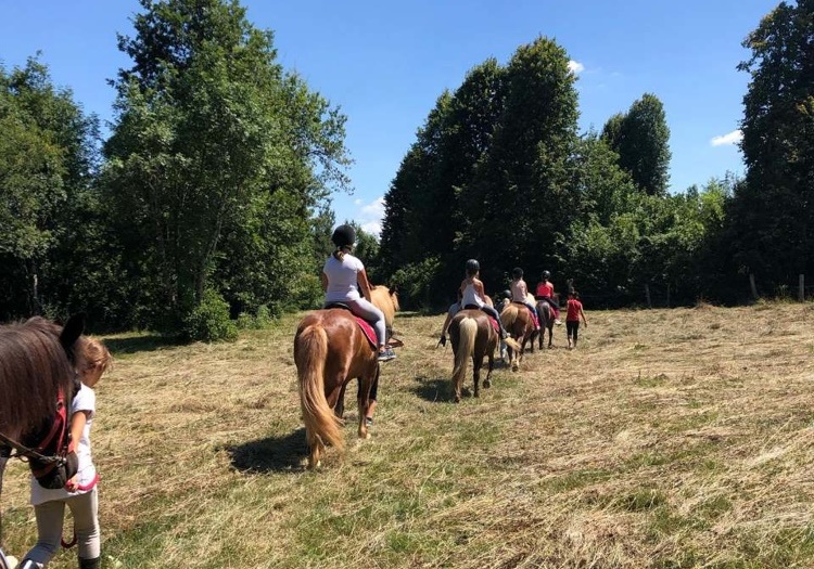 Poletni tečaji in počitniško varstvo za otroke