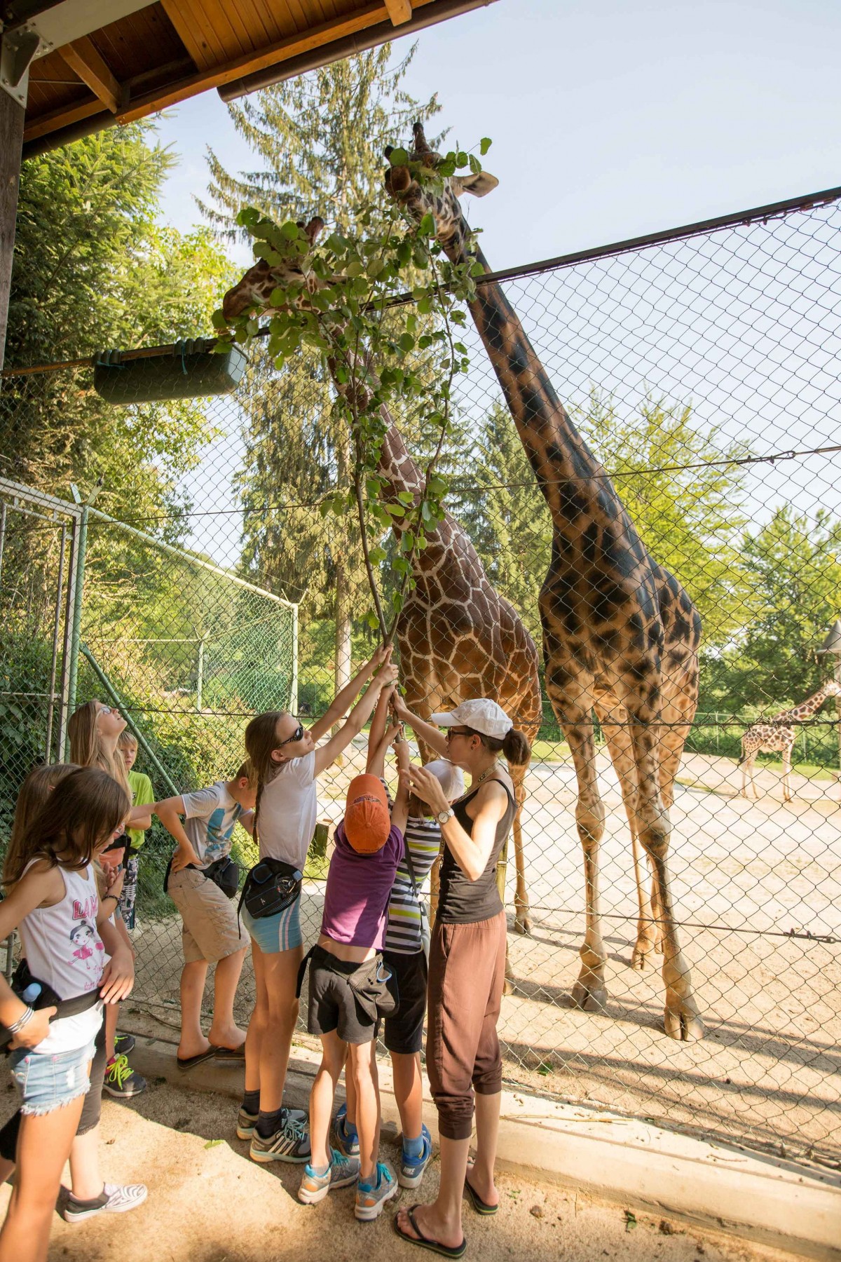 Poletni tečaji in počitniško varstvo za otroke